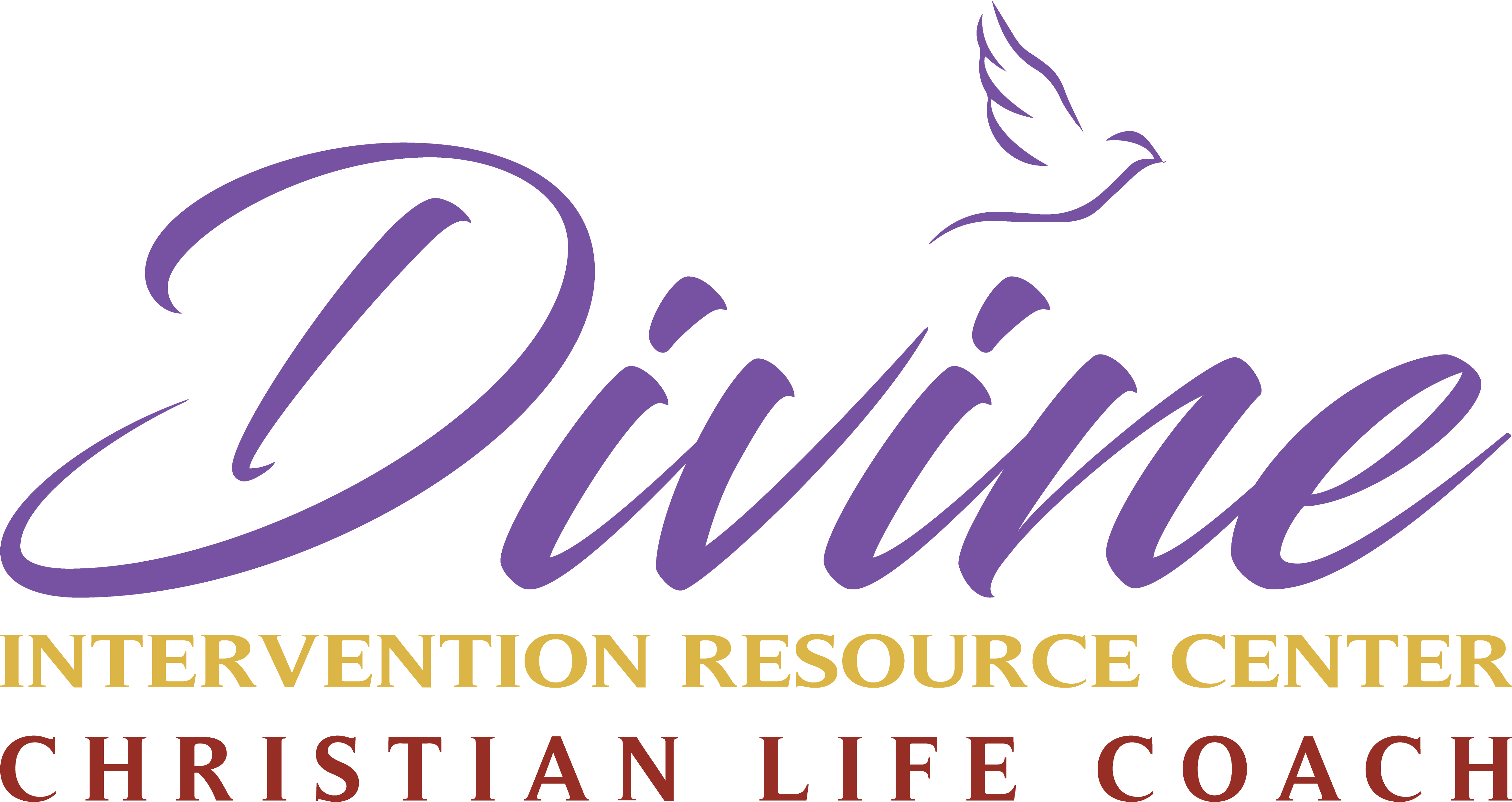 Divine Intervention Resource Center Logo